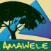 Amawele and ALISON